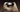 HUAWEI Mate 80 Pro – 5750 mAh Battery, XMAGE Flagship Camera Phone