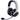 Razer Kaira Pro HyperSpeed (PlayStation Licensed) Wireless Gaming Headset (RZ04-04030200-R3A1)